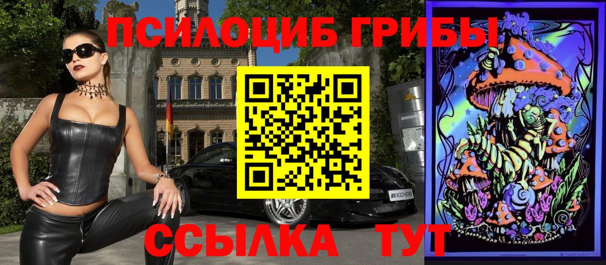 дарнет шоп  Псилоцибиновые грибы ЛСД  Вход с VPN  Галлюциногенные грибы GOLDEN TEACHER  Качканар 